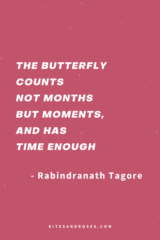 beautiful butterfly quotes