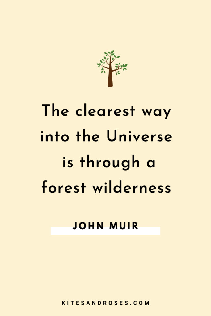 forest love quotes