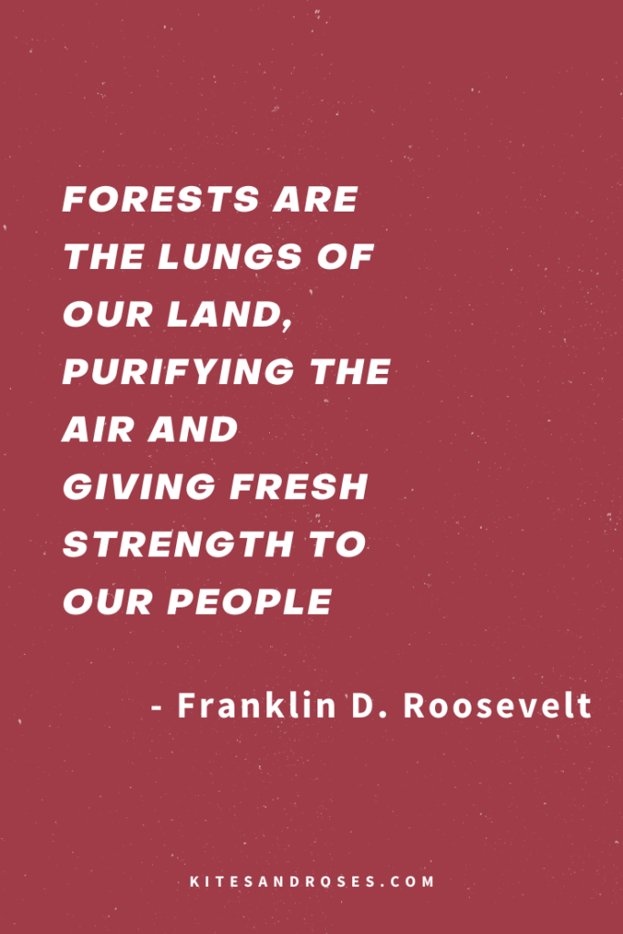 forest adventure quotes