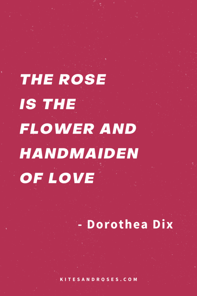rose romantic quotes
