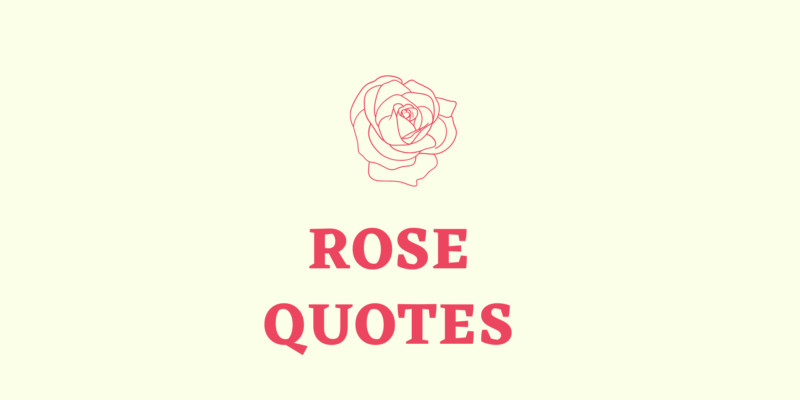 rose romantic quotes