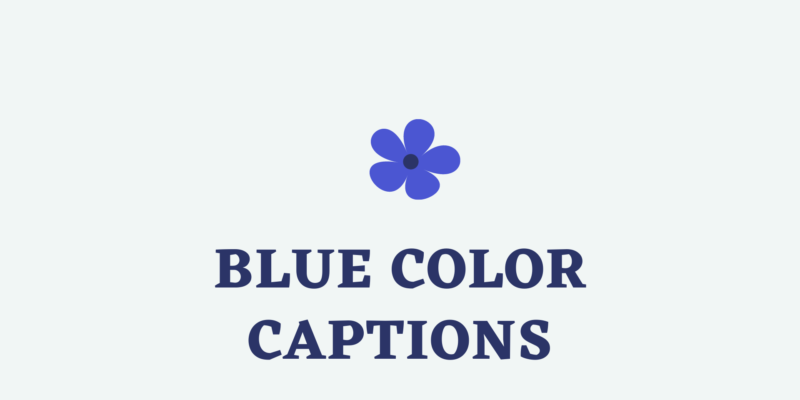 blue color captions