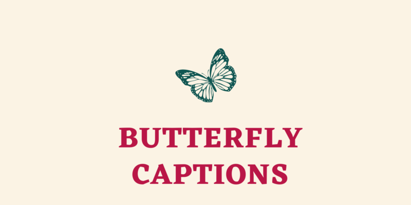 butterfly captions