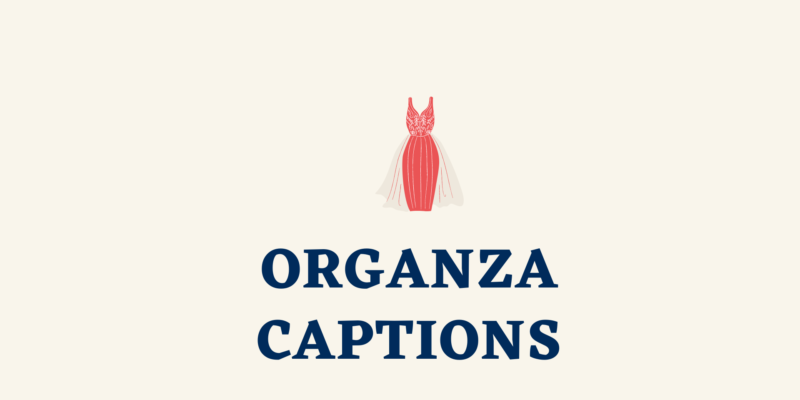 organza captions