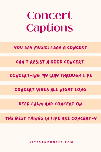 captions for concert
