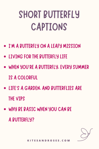 short butterfly captions for instagram