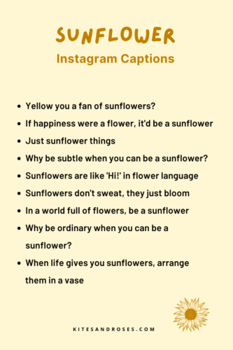 sunflower captions short